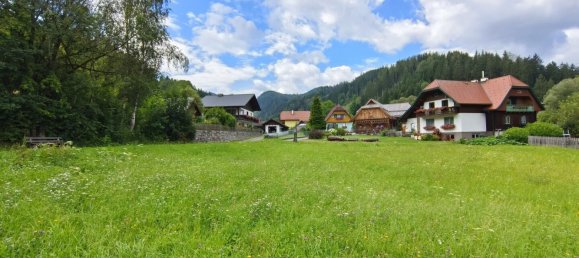 Terrain à Thorl, Austria No. 132238 4