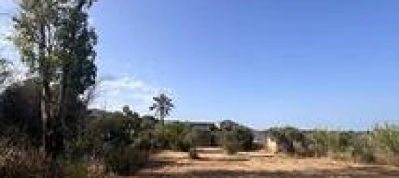 Terrain à Sardinia, Italy 1500m² No. 309627 4