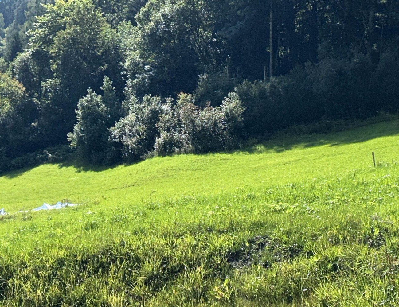 Земельный участок 1000м² в Таксенбах, Австрия № 232806