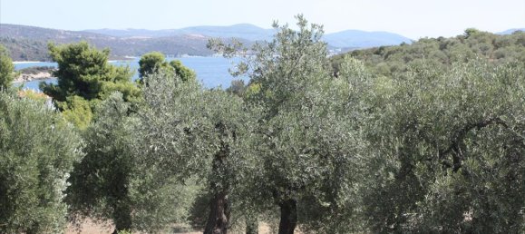  فندق في Chalkidiki, Greece 4070متر مربع رقم 8097 4