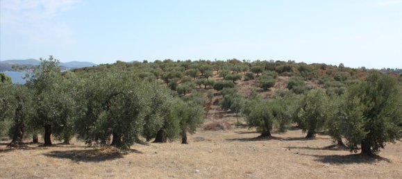  فندق في Chalkidiki, Greece 4070متر مربع رقم 8097 6