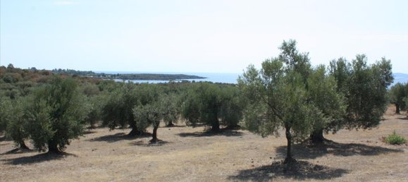  فندق في Chalkidiki, Greece 4070متر مربع رقم 8097 2