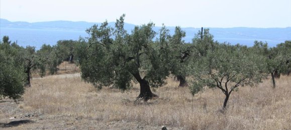 4070m² Hotel in Chalkidiki, Greece No. 8097 3