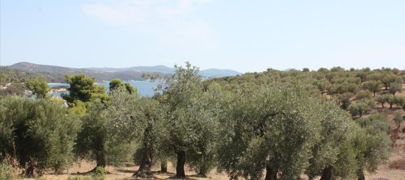 4070m² Hotel in Chalkidiki, Greece No. 8097 5