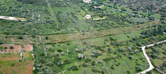 Земельный участок 25960м² в Сан Бартоломеу де Мессинеш, Португалия № 72255 3