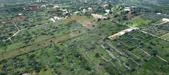 Земельный участок 25960м² в Сан Бартоломеу де Мессинеш, Португалия № 72255 8