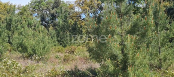  قطعة أرض في Palmela, Portugal 307متر مربع رقم 92154 5