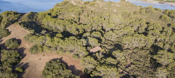 10 bedrooms Finca in Es Mercadal, Spain No. 1455 9