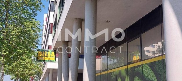 1 bedroom Apartment in Vienna, Austria No. 205784 7