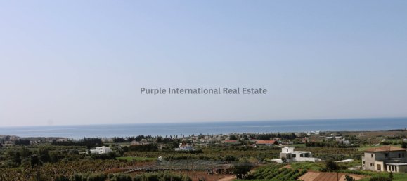 4 bedrooms Villa in Pegeia, Cyprus No. 1390 2