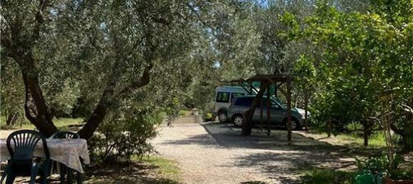 7 chambres Villa à Capoliveri, Italy No. 345796 12