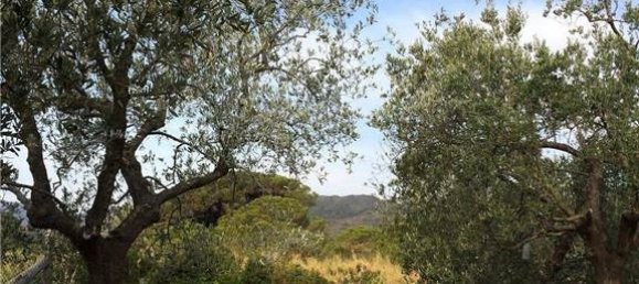 7 chambres Villa à Capoliveri, Italy No. 345796 11