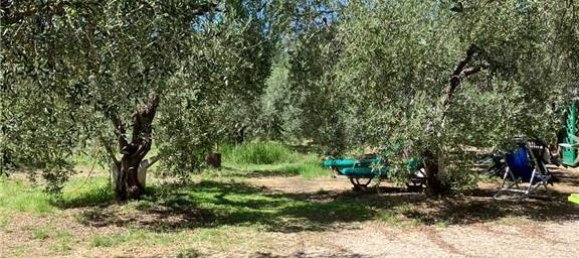 7 chambres Villa à Capoliveri, Italy No. 345796 9