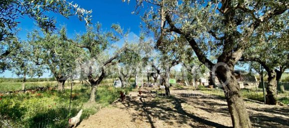 2 bedrooms Villa in Foggia, Italy No. 372854 10