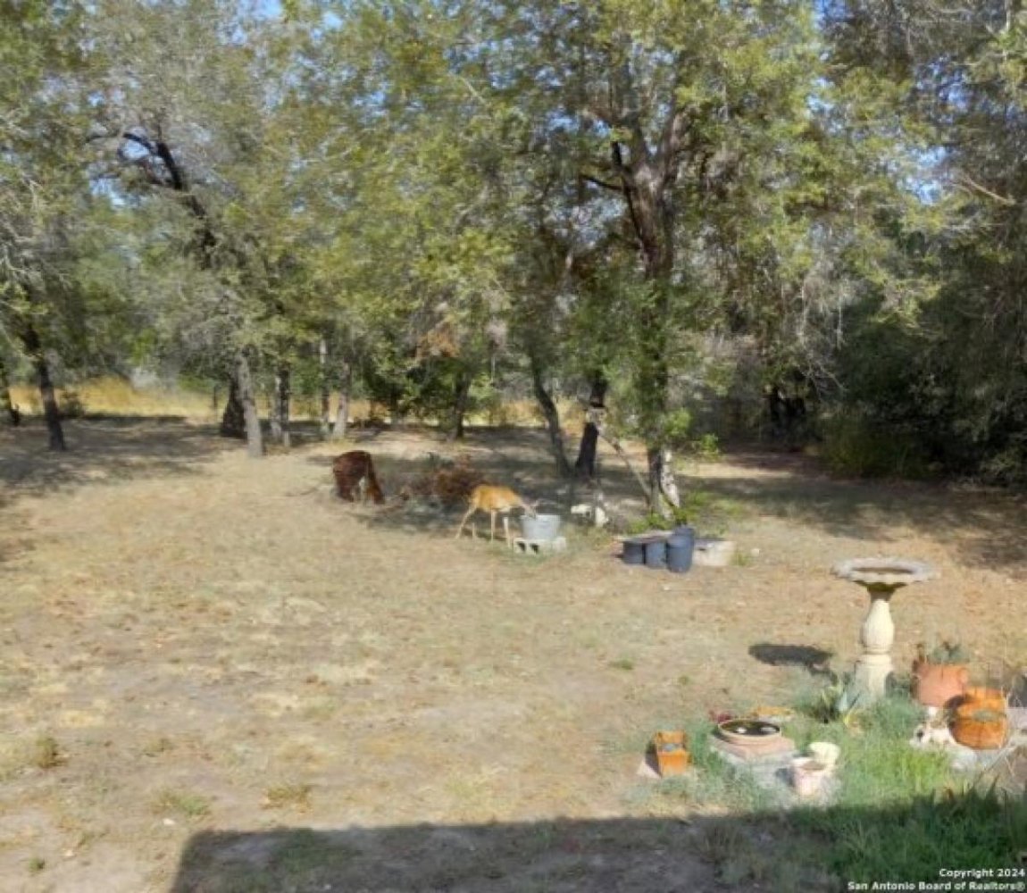  Land in Poteet, USA No. 539932