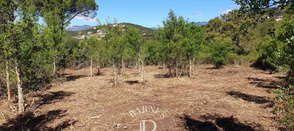 2096m² Land in Zonza, France No. 91291 4