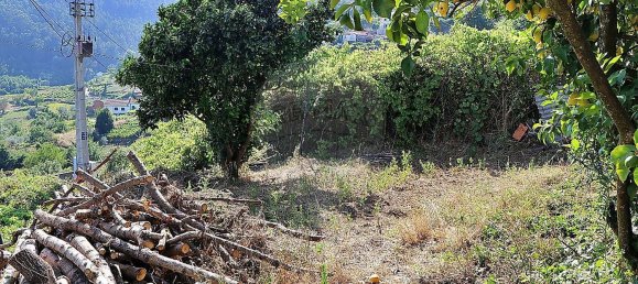 2 Schlafzimmer Haus in Baiao, Portugal, Nr. 10314 12