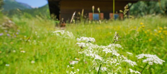 3 rooms House in Trins, Austria No. 161284 2