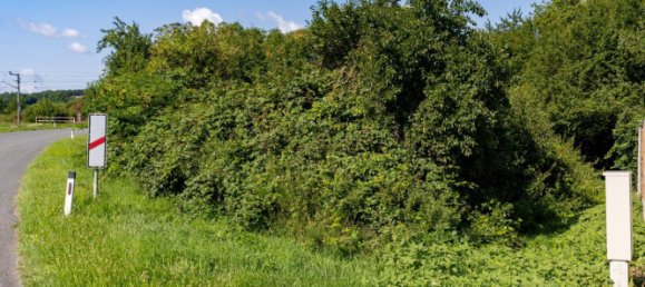 1178m² Land in Drosing, Austria No. 209347 3