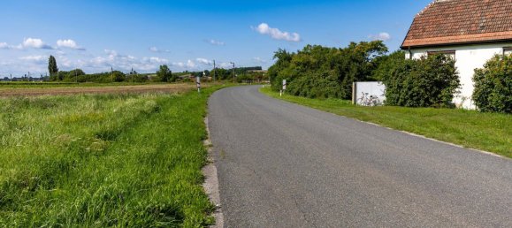 1178m² Land in Drosing, Austria No. 209347 5