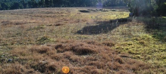 16000m² Hotel in Chalkidiki, Greece No. 7427 5