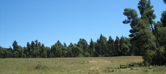 16000m² Hotel in Chalkidiki, Greece No. 7427 3