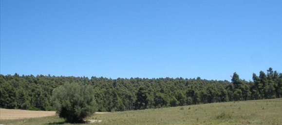 16000m² Hotel in Chalkidiki, Greece No. 7427 4