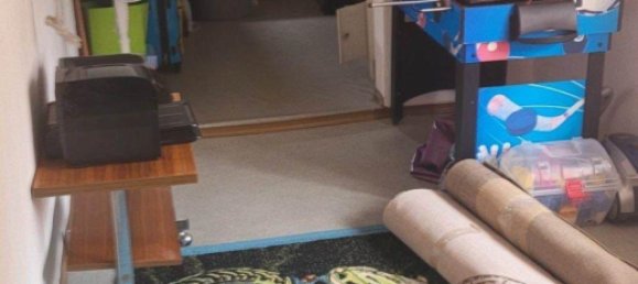 5 bedrooms House in Limburg-Weilburg, Germany No. 153357 6