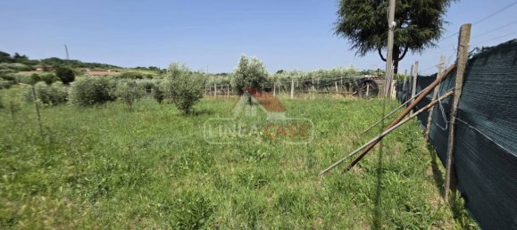 2400m² Land in San Cesareo, Italy No. 301006 18