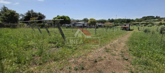 2400m² Land in San Cesareo, Italy No. 301006 17
