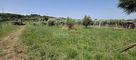 2400m² Land in San Cesareo, Italy No. 301006 19