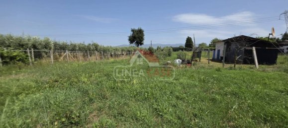 2400m² Land in San Cesareo, Italy No. 301006 5