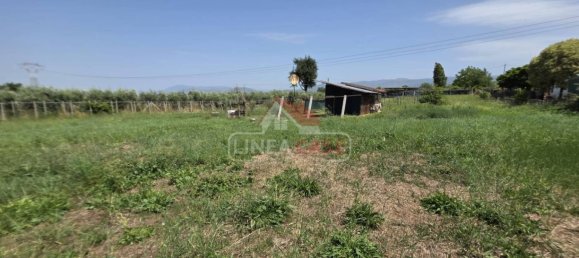 2400m² Land in San Cesareo, Italy No. 301006 4