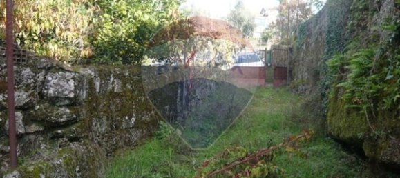 Casa de 3 dormitorios en Carregal do Sal, Portugal No. 17198 20