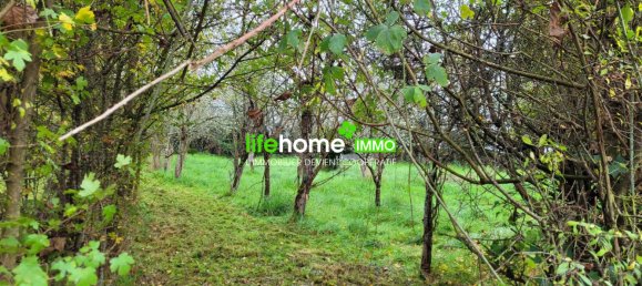 1 chambre Maison de ville à Germigny-l'Exempt, France No. 158230 3