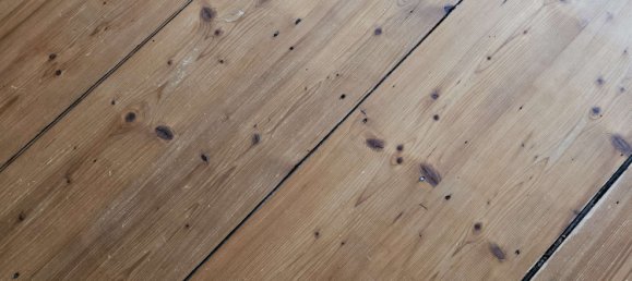 3غرفة شقة في Dresden, Germany رقم 312251 23