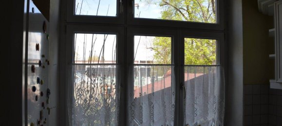 10غرفة فيلا في Haugsdorf, Austria رقم 199473 14