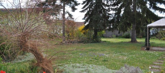 10غرفة فيلا في Haugsdorf, Austria رقم 199473 38