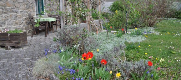 10غرفة فيلا في Haugsdorf, Austria رقم 199473 36