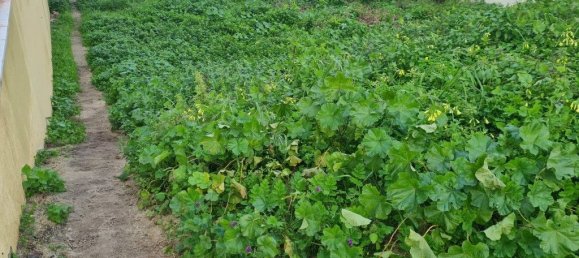 قطعة أرض في Almada, Portugal 250متر مربع رقم 89229 3