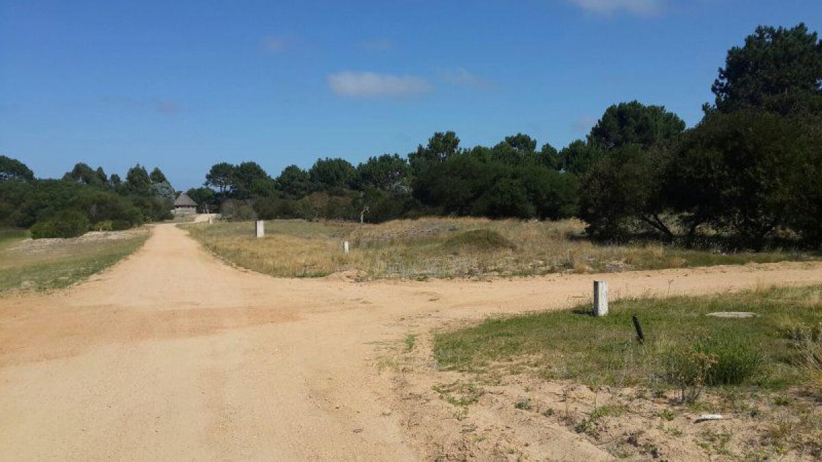  Land in Maldonado, Uruguay No. 15478