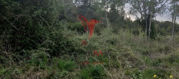  قطعة أرض في Santarem, Portugal 19920متر مربع رقم 76122 12