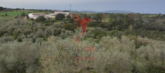  قطعة أرض في Santarem, Portugal 19920متر مربع رقم 76122 3