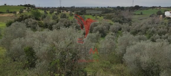  قطعة أرض في Santarem, Portugal 19920متر مربع رقم 76122 2