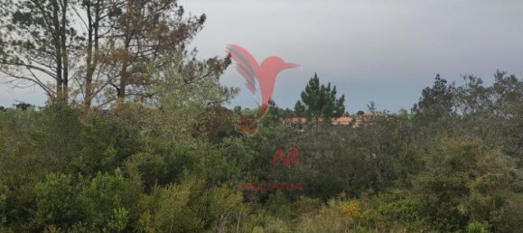  قطعة أرض في Santarem, Portugal 19920متر مربع رقم 76122 7