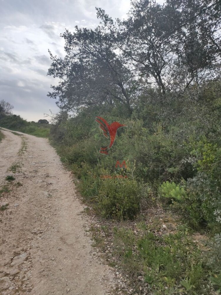  قطعة أرض في Santarem, Portugal 19920متر مربع رقم 76122