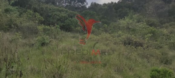  قطعة أرض في Santarem, Portugal 19920متر مربع رقم 76122 9