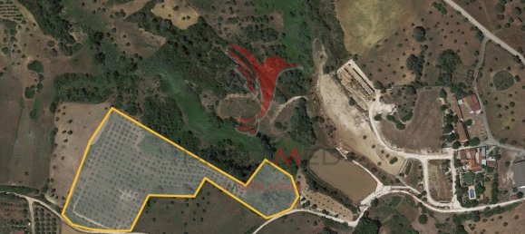  قطعة أرض في Santarem, Portugal 19920متر مربع رقم 76122 14