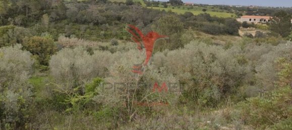  قطعة أرض في Santarem, Portugal 19920متر مربع رقم 76122 4