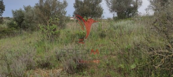  قطعة أرض في Santarem, Portugal 19920متر مربع رقم 76122 5